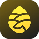 松果电单车app(松果出行)