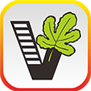 我要自学网手机版 v1.11.4