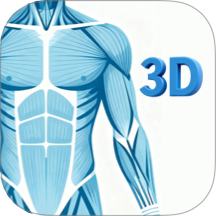 人体解剖学图谱