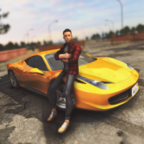 在线驾驶汽车无限金币v1.325