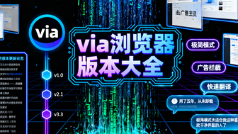 via浏览器版本大全