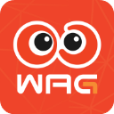 看个比赛免费版