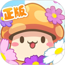 冒险岛062客户端