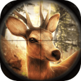 模拟猎人无限金币 v1.0.0.0122