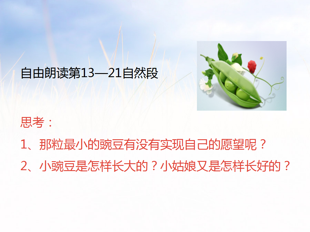 一个豆荚里的五粒豆教案 电脑版