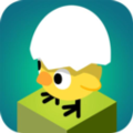 奔跑吧小鸡 v1.0.3 安卓版