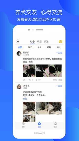 犬衛(wèi)士最新版(5)