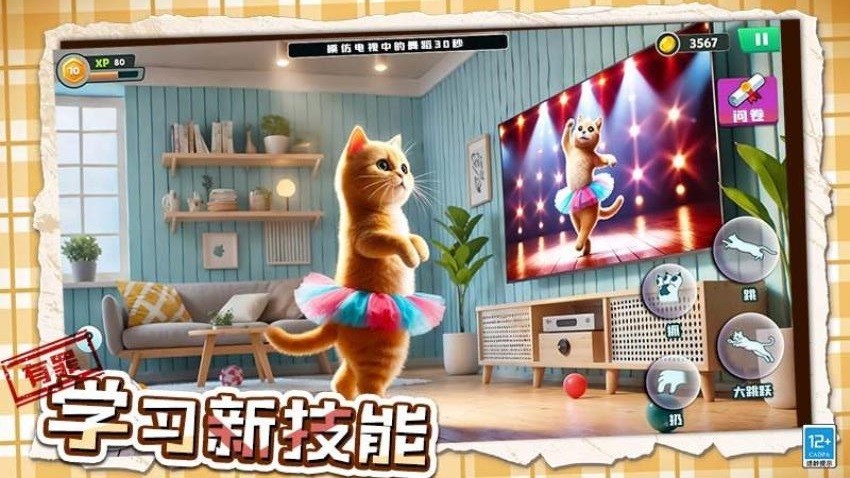 坏猫大作战(3)