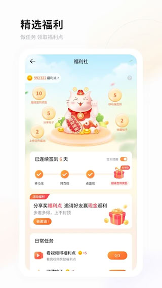飛貓盤(2)