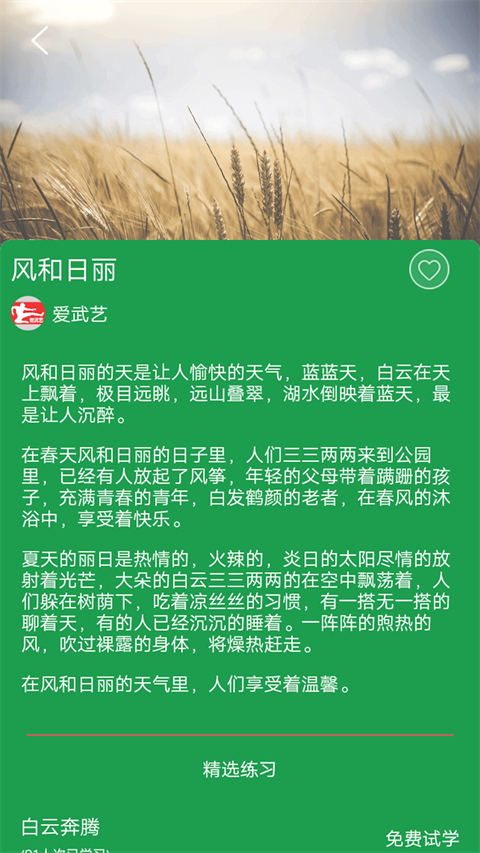 愛武藝(3)