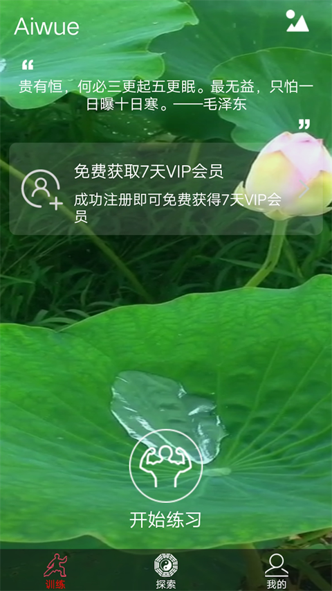愛武藝(5)