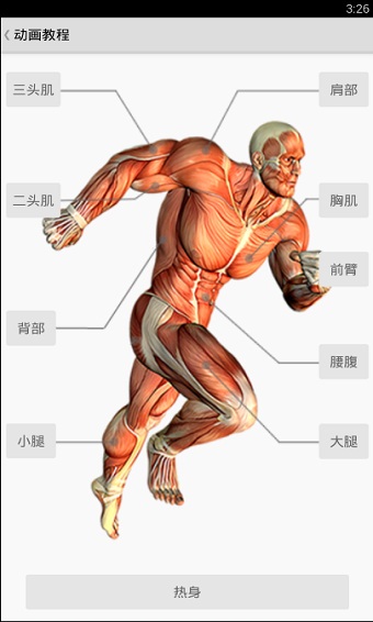 健身寶典(2)