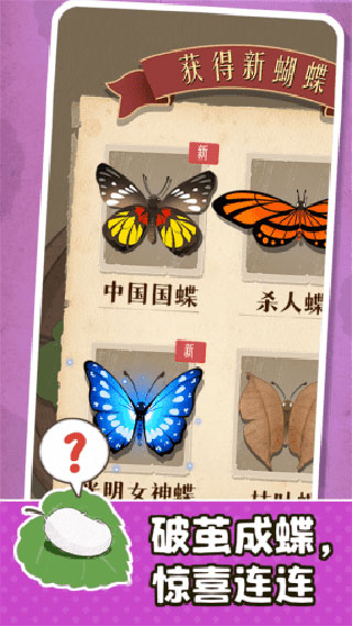 小小养蚕师(1)