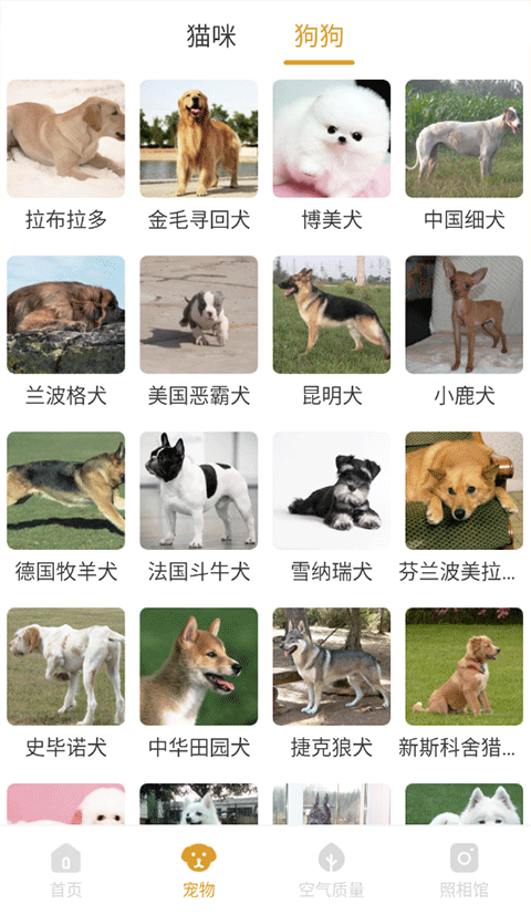 韶光相机(4)
