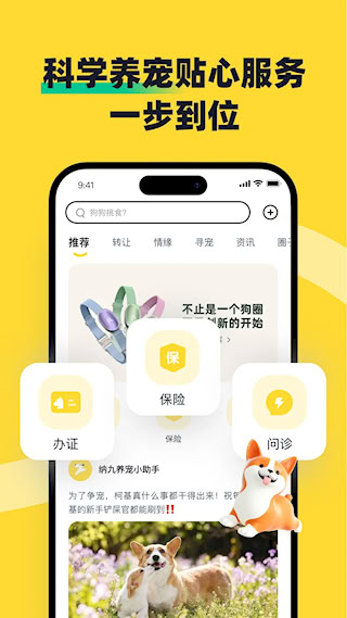 68宠物(3)