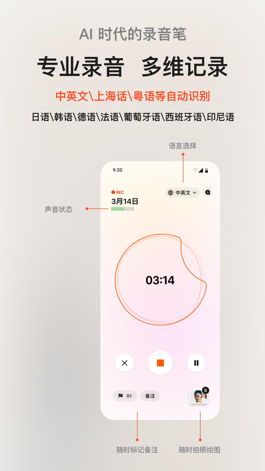 閃念貝殼(2)