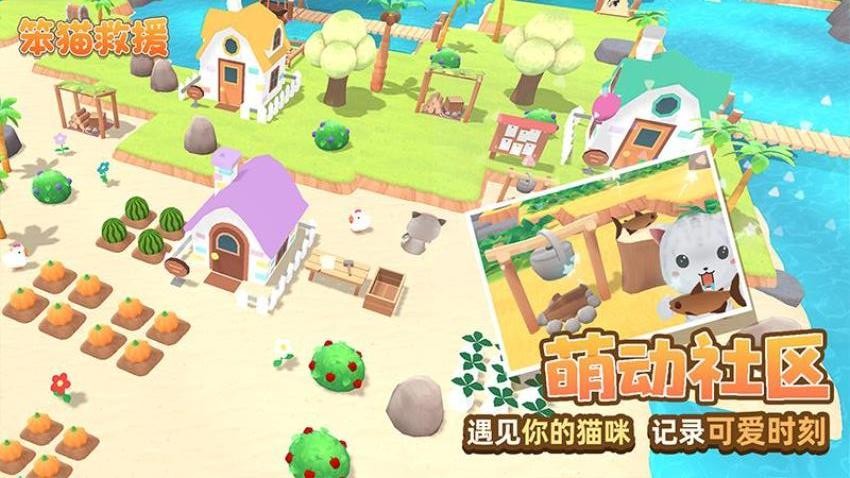 笨貓救援(2)
