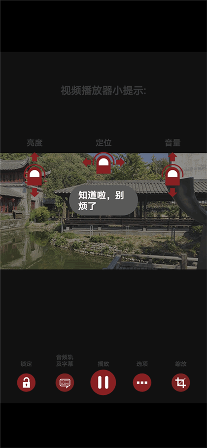 RMVB格式播放器(2)