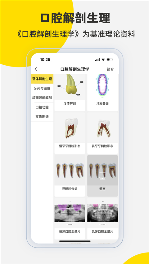 3dbody解剖圖(4)