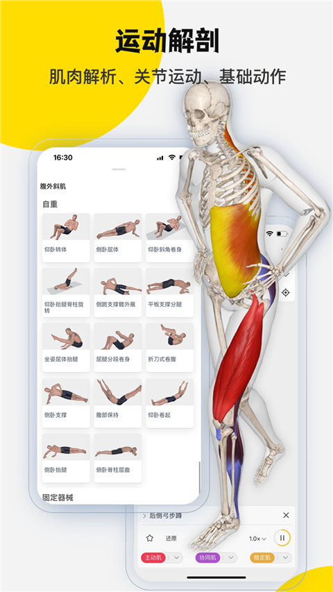 3dbody解剖圖(2)