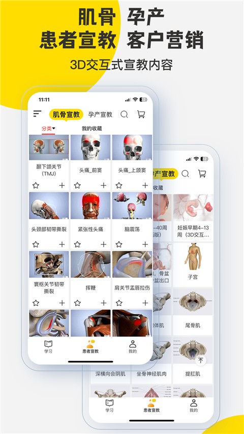 3dbody解剖圖(1)