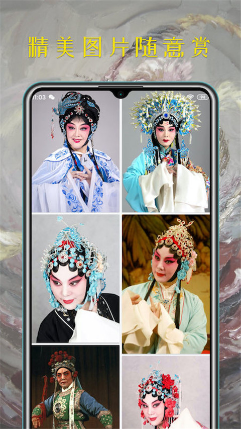 豫劇迷(2)