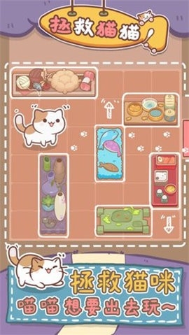 拯救猫猫(1)
