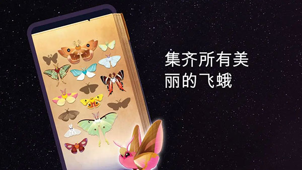 彩翼之星夜(2)
