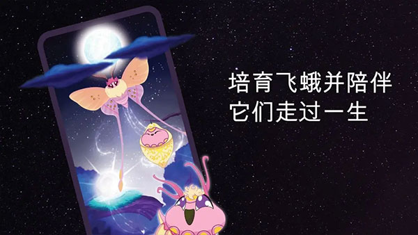 彩翼之星夜(1)