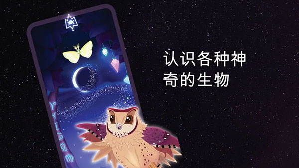 彩翼之星夜(4)