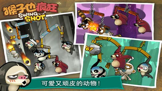 猴子也疯狂Free(2)