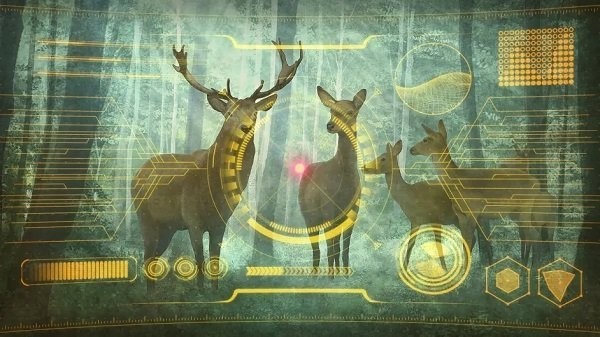 星之终途(2)