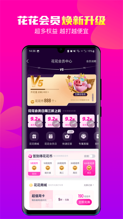 花小豬(2)