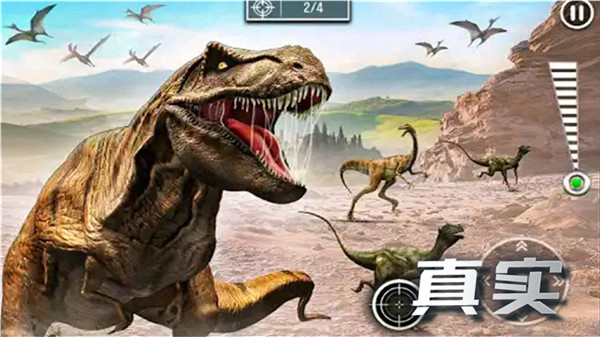 瘋狂狙擊動物(5)