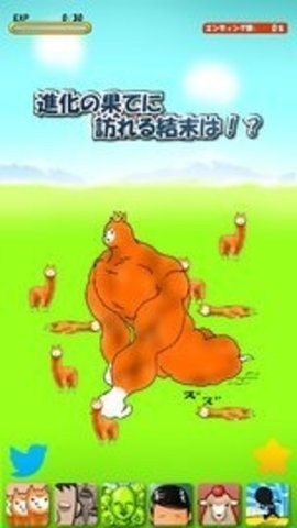 兄貴羊駝2(1)