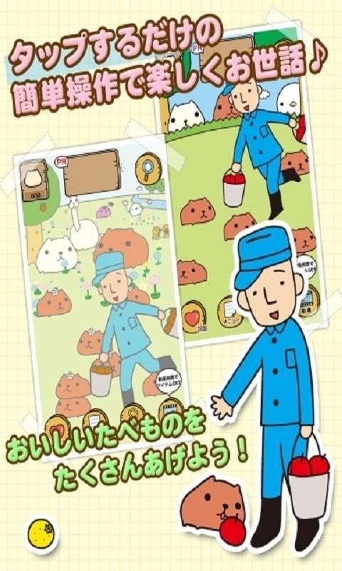 水豚先生(2)