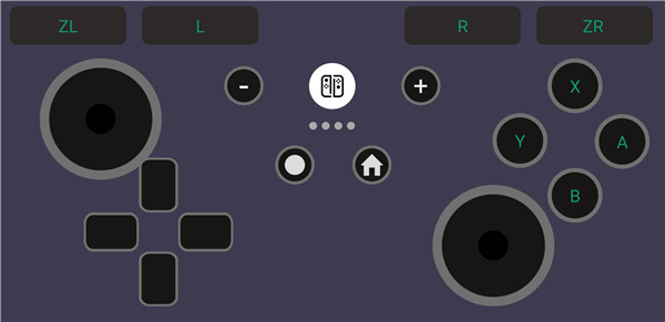 Switch手柄Pro(2)
