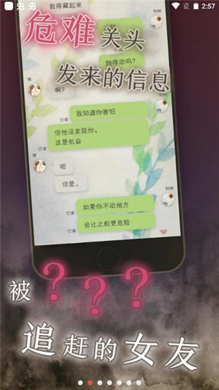 我的女友在被人追趕(3)