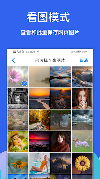 Alook瀏覽器安卓版(4)