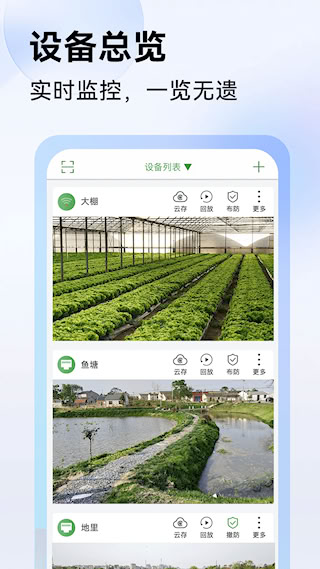 seetong(1)