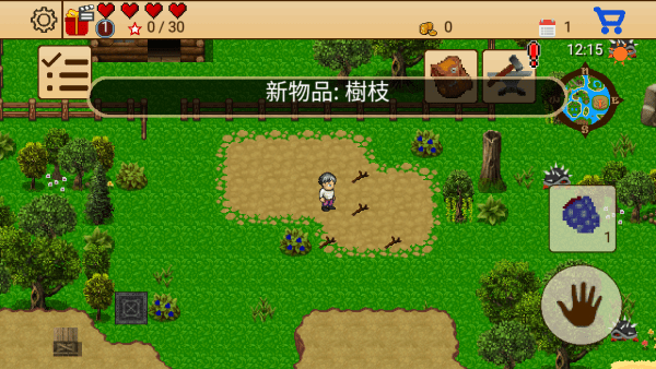 生存rpg5海盜冒險之旅(4)