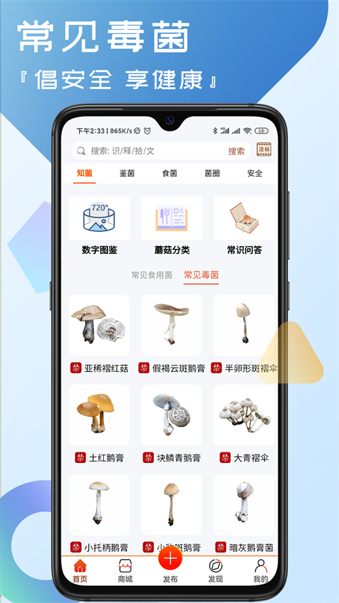 菌窩子(3)
