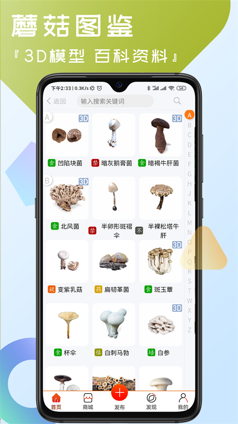 菌窩子(1)