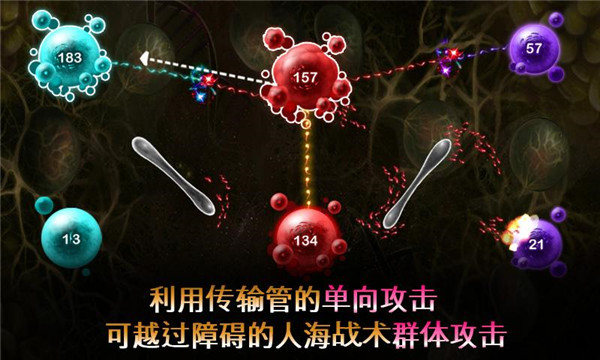 繁殖戰(zhàn)爭2(2)