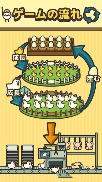 雞工場(1)