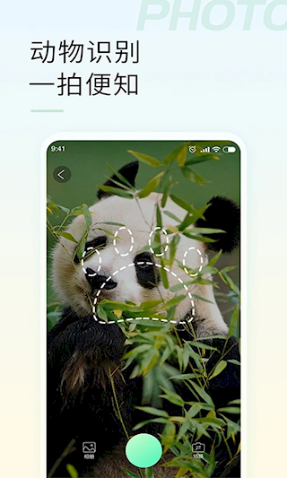 智能拍照識物(5)