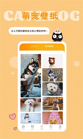 貓語狗語轉換器(5)