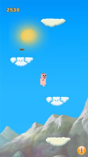 宠物小猪跳跳(4)