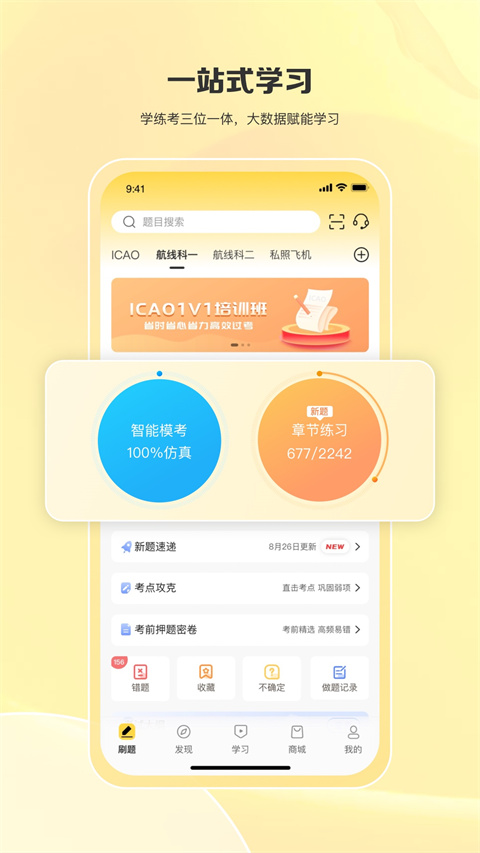 飛行之翼(3)