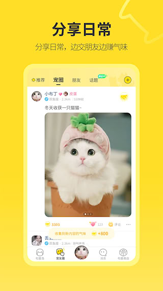 句苗岛(3)